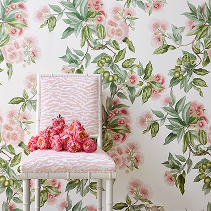 Anna French Camellia Garden Wallpaper in Navy & Linen